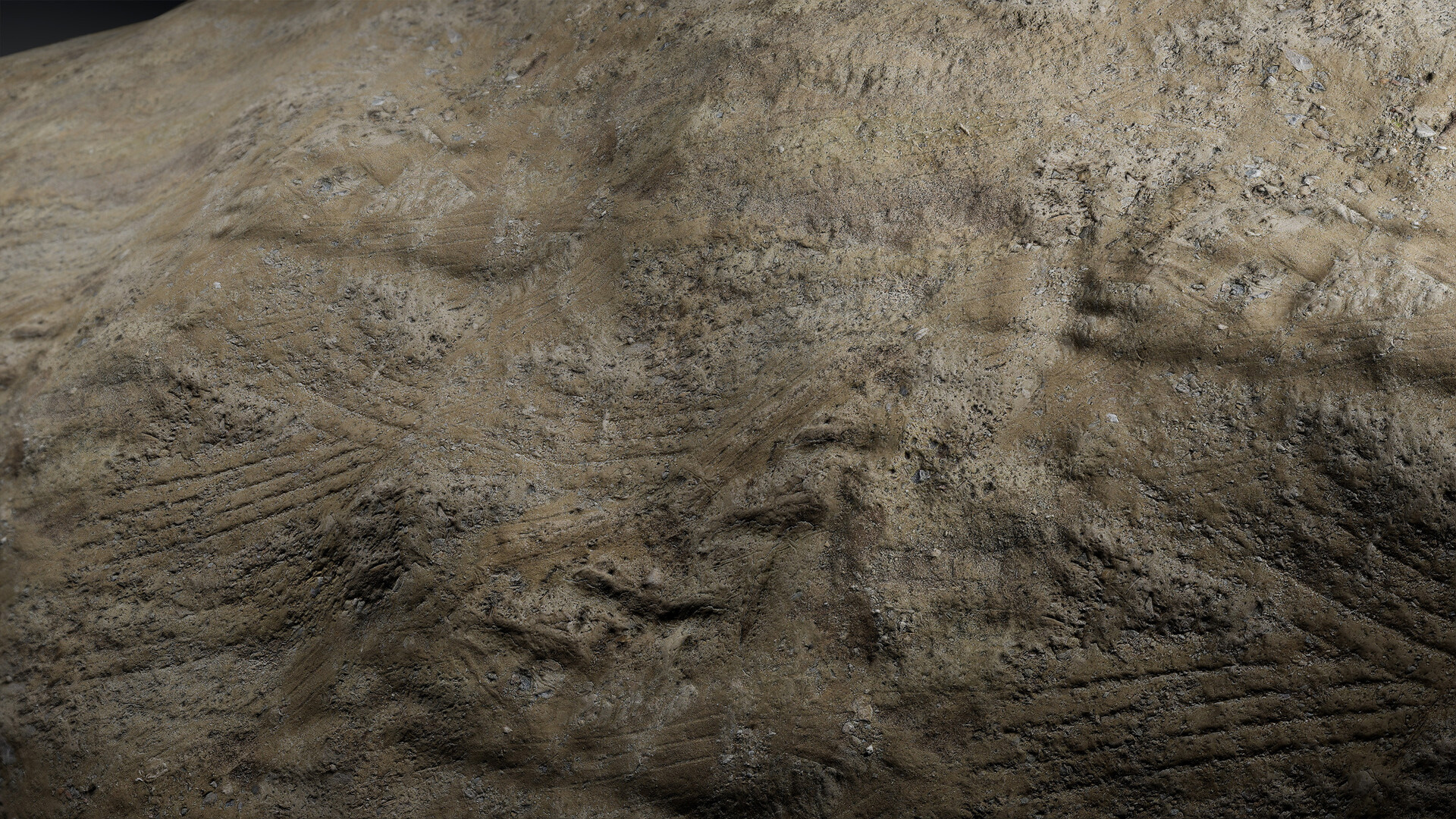Materials III - Natural  Nature 7