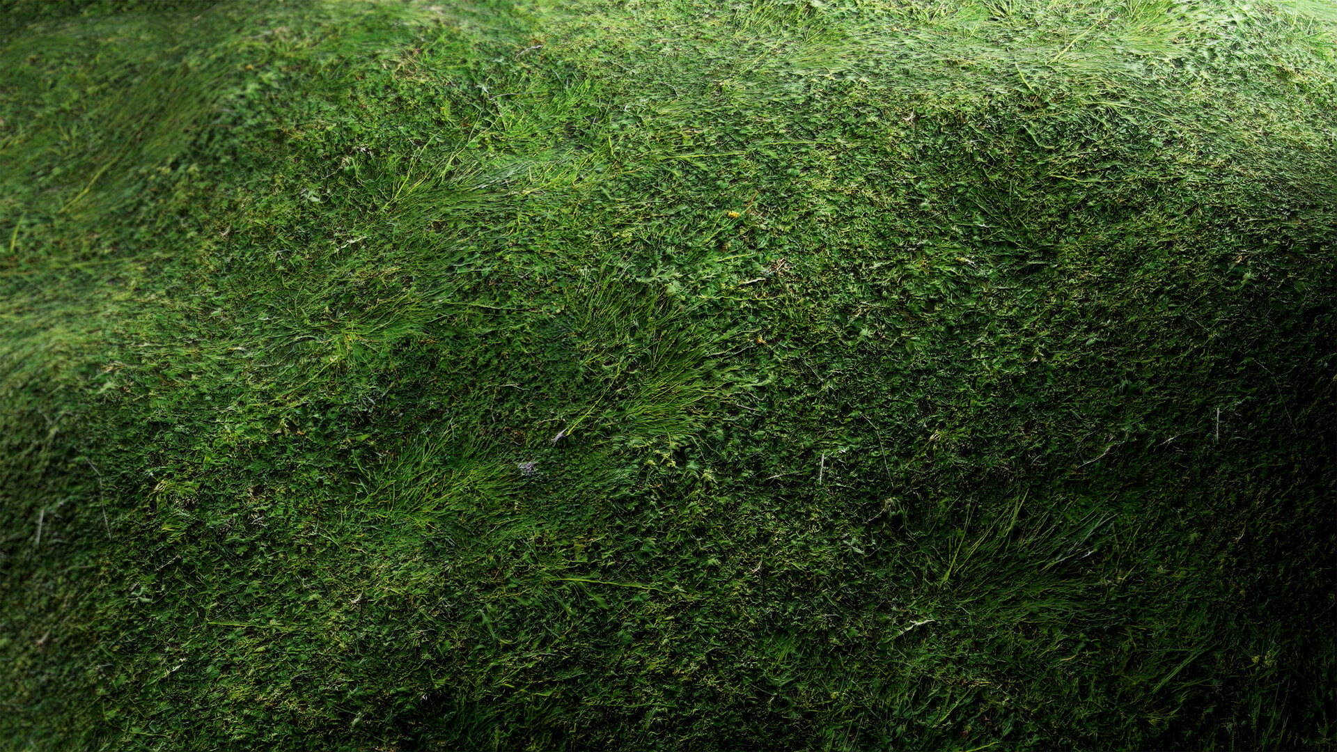 Materials III - Natural  Nature 13