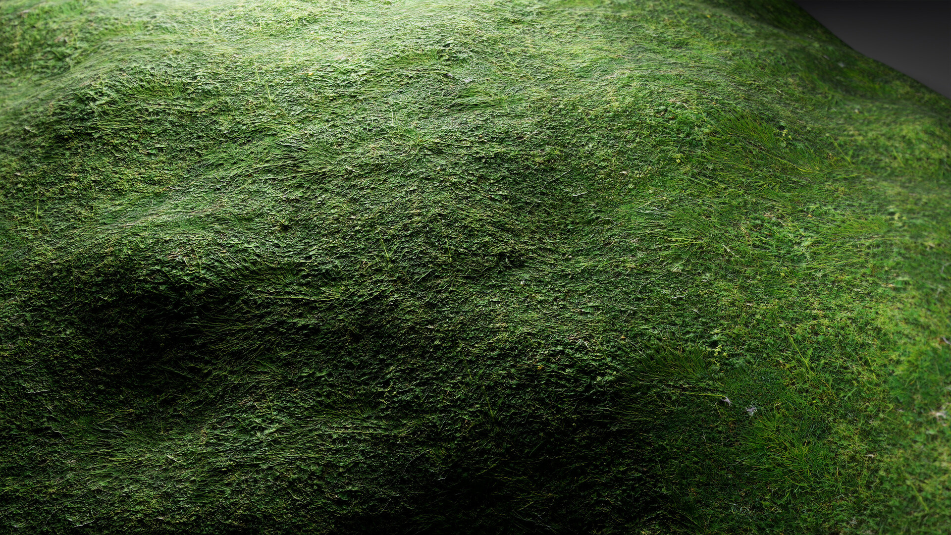 Materials III - Natural  Nature 14
