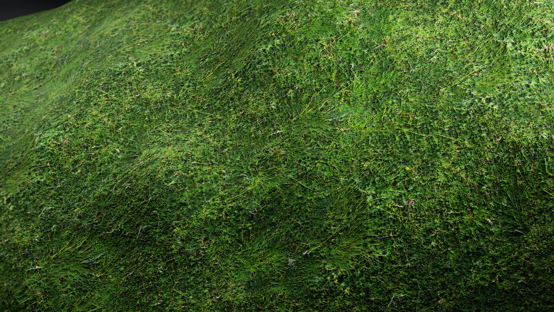 Materials III - Natural  Nature 15
