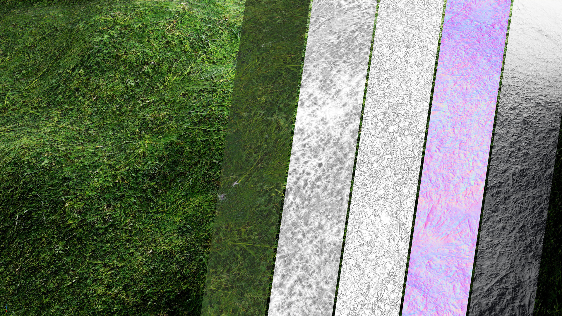 Materials III - Natural  Nature 16