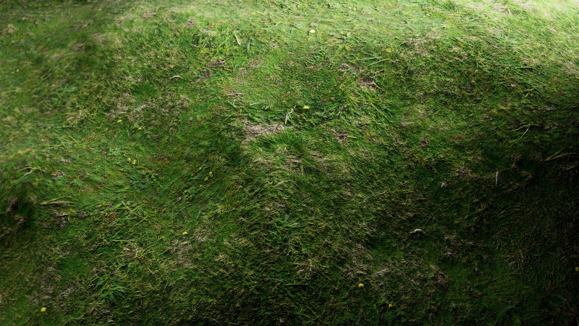Materials III - Natural  Nature 17