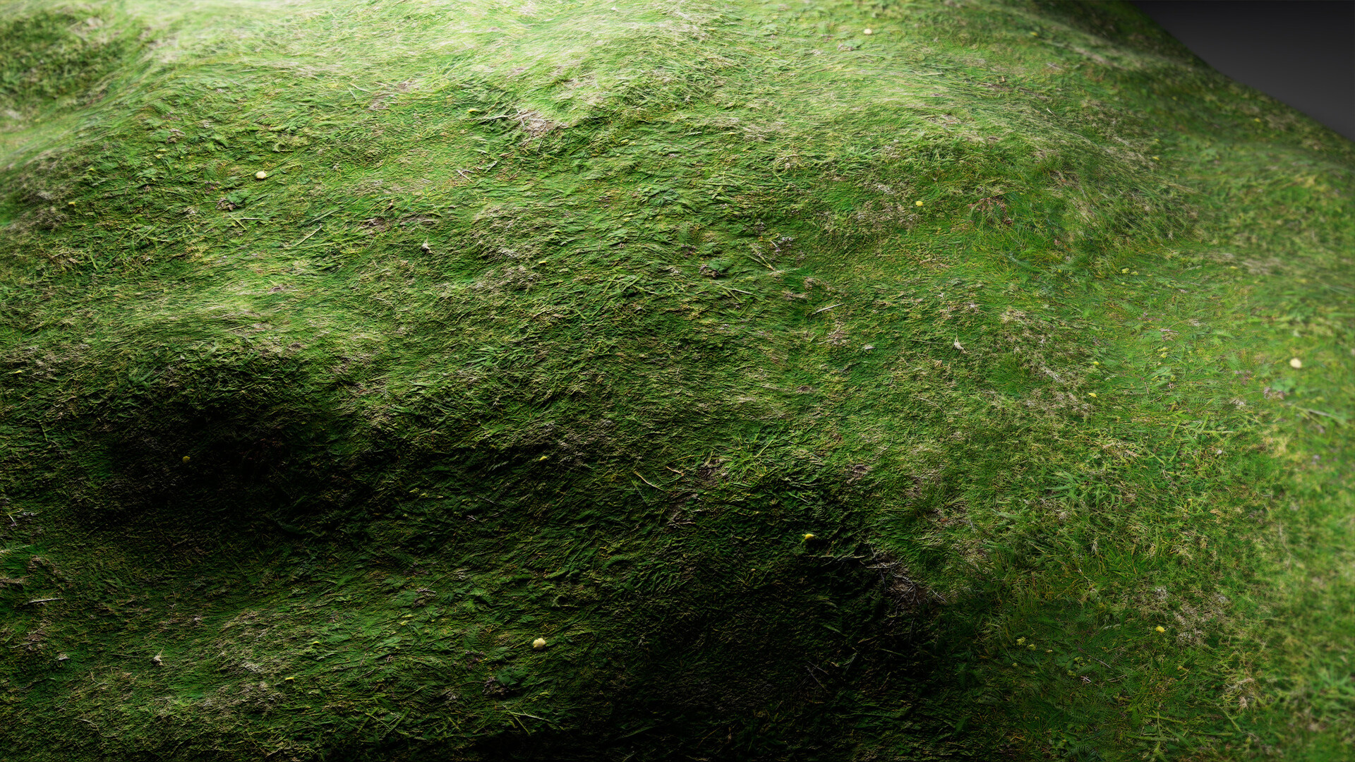Materials III - Natural  Nature 18