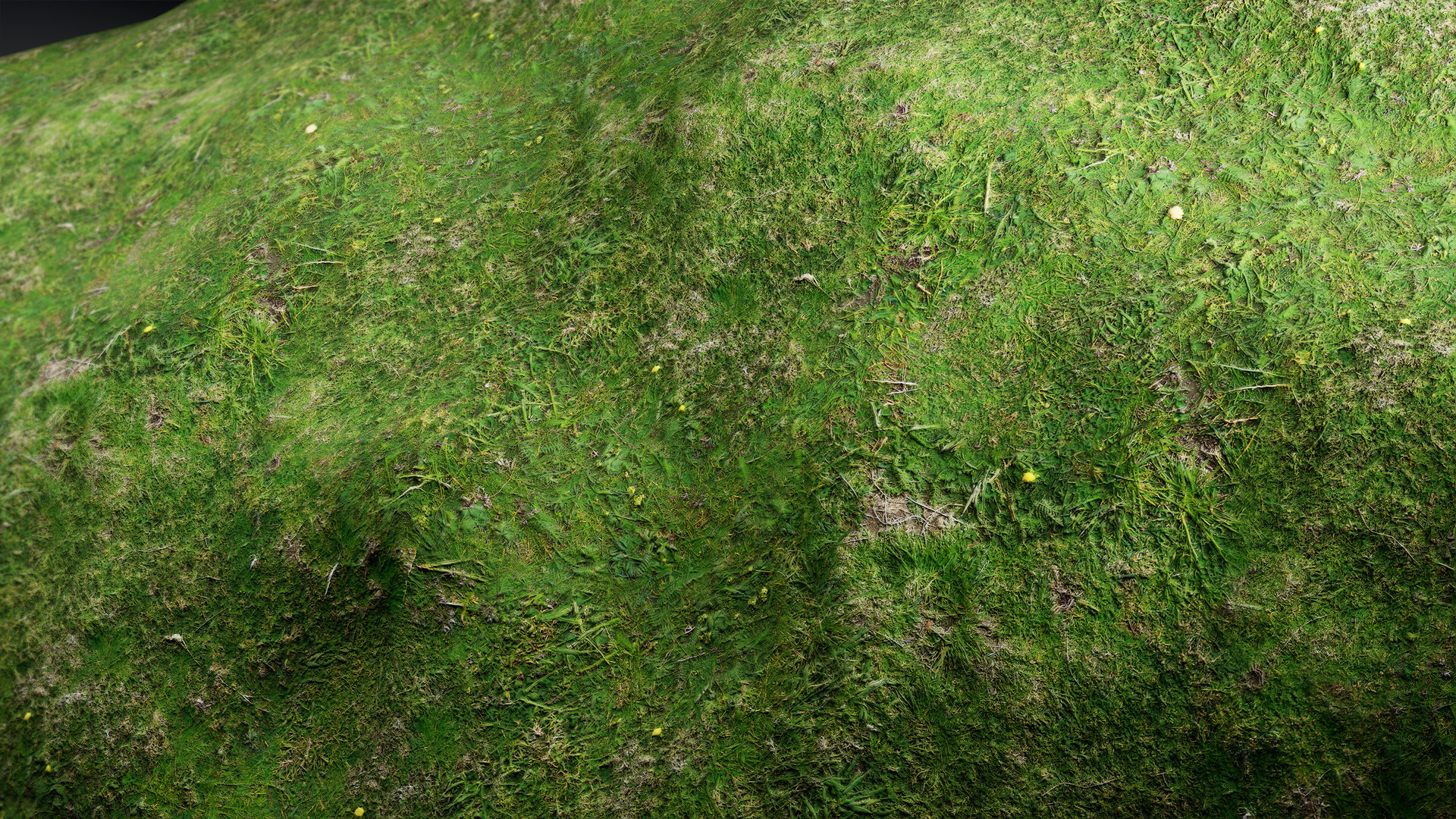Materials III - Natural  Nature 19
