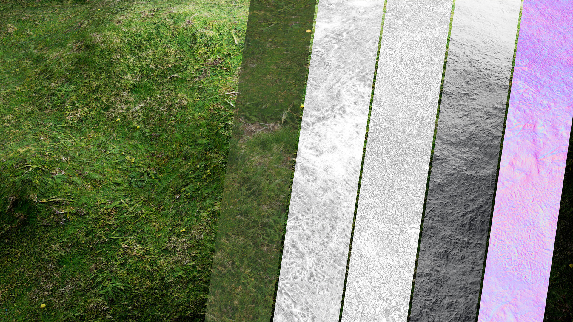Materials III - Natural  Nature 20